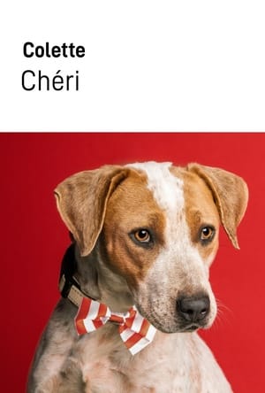 Couverture ebook gratuit Chéri